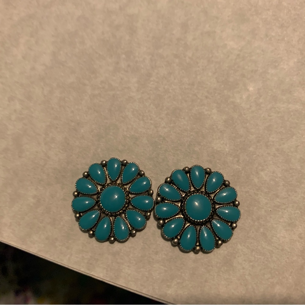 Earring lot